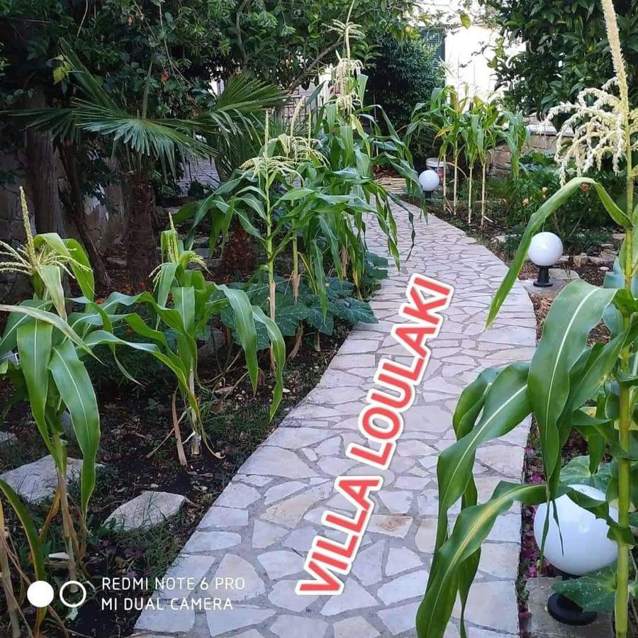 Villa Loulaki Magazia Paxi Arvanitakeika エクステリア 写真