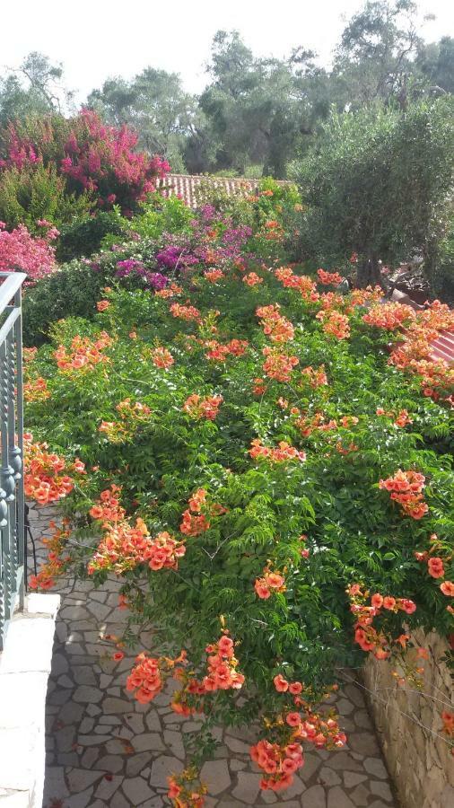 Villa Loulaki Magazia Paxi Arvanitakeika エクステリア 写真